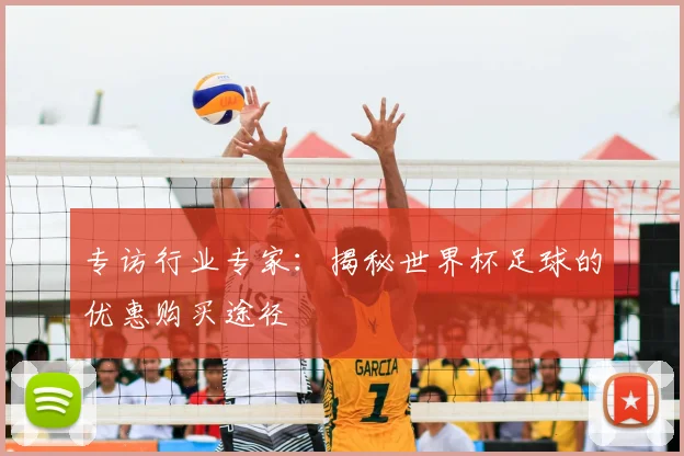 专访行业专家:揭秘世界杯足球的优惠购买途径