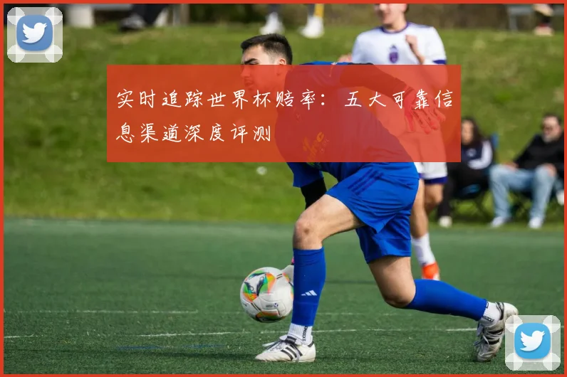 实时追踪世界杯赔率：五大可靠信息渠道深度评测