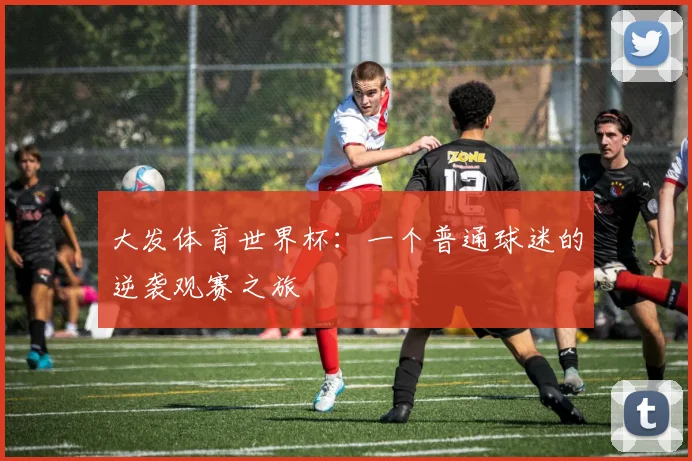 大发体育世界杯：一个普通球迷的逆袭观赛之旅