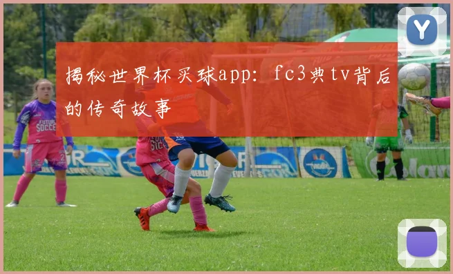 揭秘世界杯买球app：fc3典tv背后的传奇故事